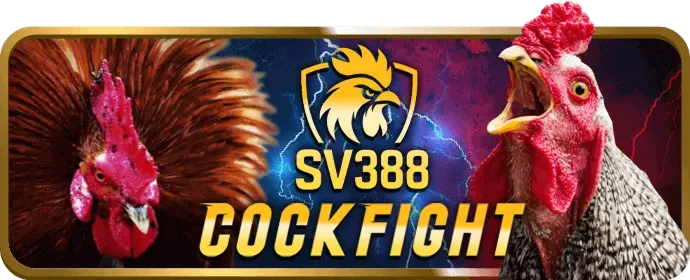 Game thủ esports đang tập trung thi đấu trên máy tính, biểu tượng cho cá cược esports sm611 win